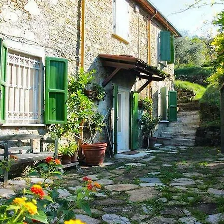 Celi Di Luna *